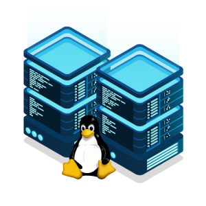 Linux VPS Server