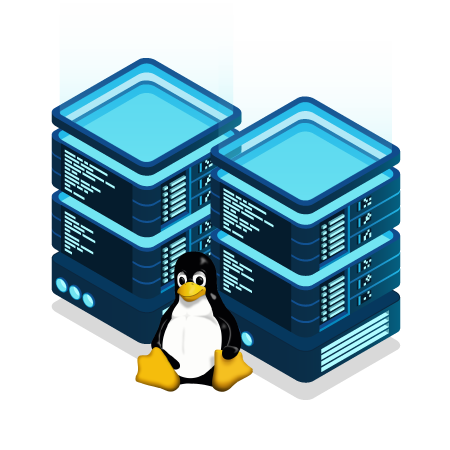 Linux VPS Server