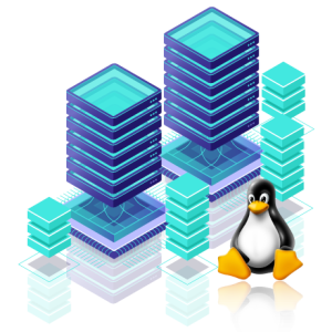 Linux VPS Hosting