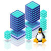 Linux VPS Hosting