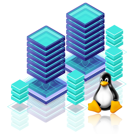Linux VPS Hosting