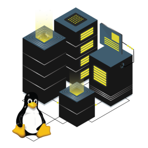 Linux VPS Hosting