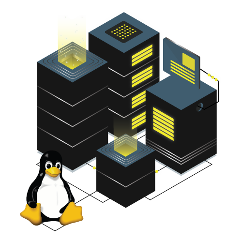 Linux VPS Hosting