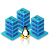 Linux VPS Hosting