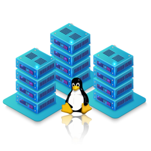 Linux VPS Hosting