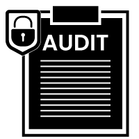 Regular Security Audits and Patching