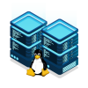 Linux VPS Hosting
