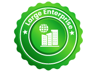 Large-Enterprise Large-Enterprise